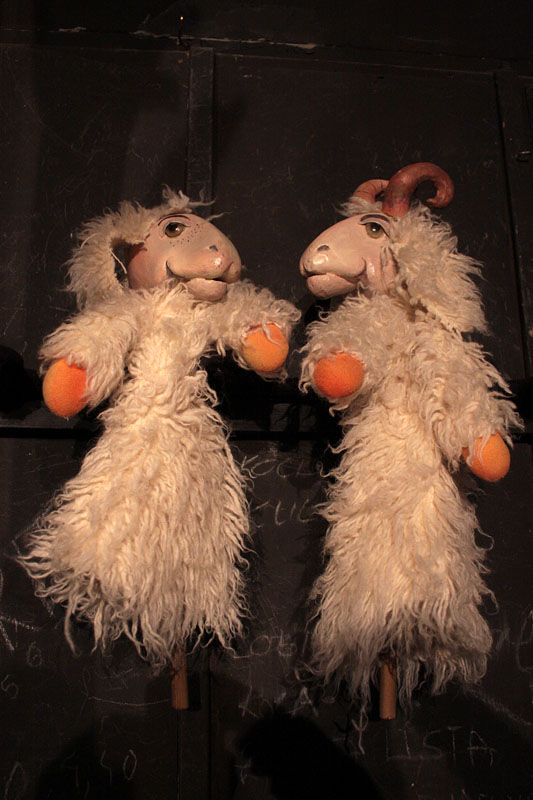 Betlehemska ovčica Betlehemska ovčica