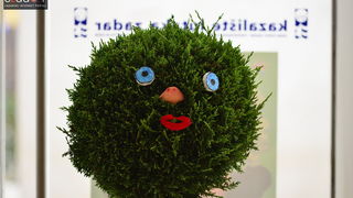 Izložba Mojmira Mihatova i svečano otvorenje 26. SLUK-a Izložba Mojmira Mihatova i svečano otvorenje 26. SLUK-a