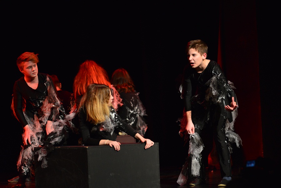 Premijera predstave “U sjeni” udruge “Igrajmo se” Premijera predstave “U sjeni” udruge “Igrajmo se”