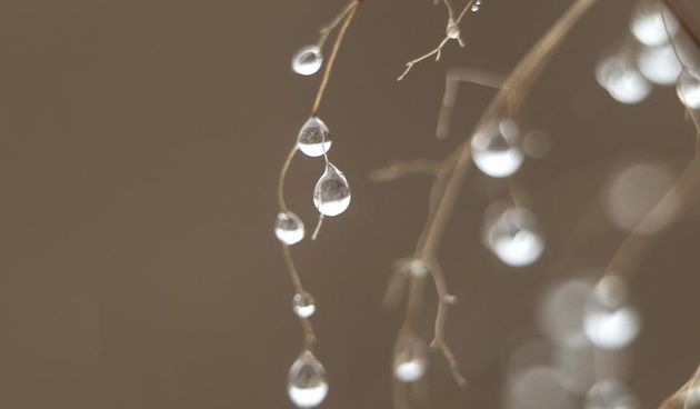 08.01.2014., Koprivnica – Podravina je cijeli dan bila obavijena gustom i teskom zimskom maglom, zbog koje je priroda bila vidljiva samo u obrisima. magla, kapi, kiša. Photo: Marijan Susenj/PIXSELL