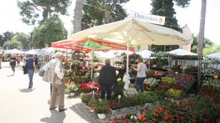 U Sv. Filip i Jakovu danas je otvoren 14. Festival cvijeća Zadarske županije, Foto: Dino Stanin/PIXSELL