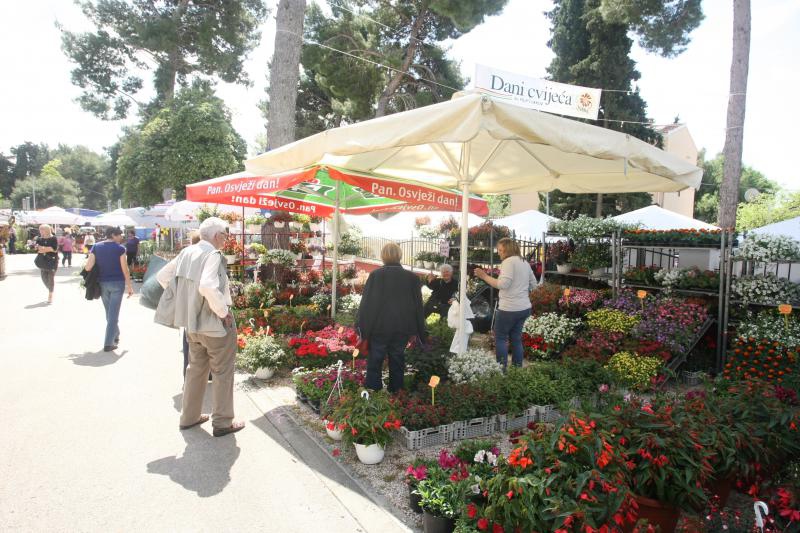 U Sv. Filip i Jakovu danas je otvoren 14. Festival cvijeća Zadarske županije, Foto: Dino Stanin/PIXSELL