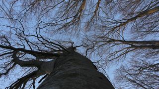 16.03.2014., Juzni Velebit – Topljenje snijega na Juznom Velebitu i procvjetani prvi planinski cvjetovi u ranom proljecu najavljuju skorasnje toplije vrijeme. Photo: Filip Brala/PIXSELL Autor Filip Brala/PIXSELL Ključne riječi rekreacija, planina, pro 16.03.2014., Juzni Velebit – Topljenje snijega na Juznom Velebitu i procvjetani prvi planinski cvjetovi u ranom proljecu najavljuju skorasnje toplije vrijeme. Photo: Filip Brala/PIXSELL Autor Filip Brala/PIXSELL Ključne riječi rekreacija, planina, pro