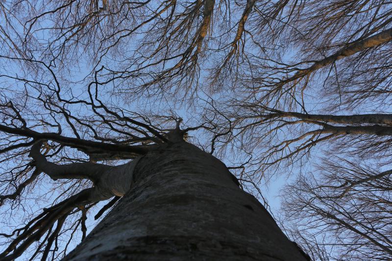 16.03.2014., Juzni Velebit – Topljenje snijega na Juznom Velebitu i procvjetani prvi planinski cvjetovi u ranom proljecu najavljuju skorasnje toplije vrijeme. Photo: Filip Brala/PIXSELL Autor Filip Brala/PIXSELL Ključne riječi rekreacija, planina, pro 16.03.2014., Juzni Velebit – Topljenje snijega na Juznom Velebitu i procvjetani prvi planinski cvjetovi u ranom proljecu najavljuju skorasnje toplije vrijeme. Photo: Filip Brala/PIXSELL Autor Filip Brala/PIXSELL Ključne riječi rekreacija, planina, pro