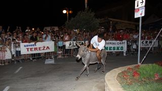 Tisno: 6. Međunarona “Trka tovarov”, Foto: Edin Kadić Tisno: 6. Međunarona “Trka tovarov”, Foto: Edin Kadić