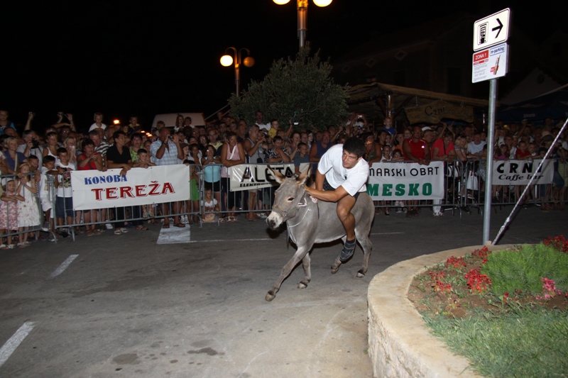Tisno: 6. Međunarona “Trka tovarov”, Foto: Edin Kadić Tisno: 6. Međunarona “Trka tovarov”, Foto: Edin Kadić