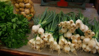 Image 1201855 (auto)