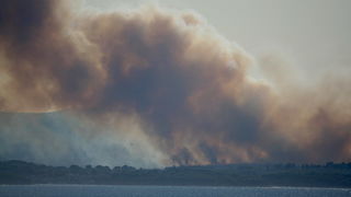 Image 1177165 (auto)