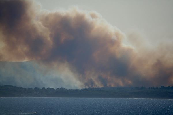 Image 1177165 (auto)