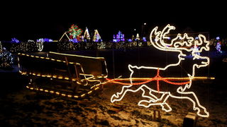 Cazma, 171210.
Grabovnica pokraj Cazme.
Imanje obitelji Salaj.
Predsjednica Vlade Jadranka Kosor svecano je upalili lampice na imanju obitelji Salaj u okviru Bozicne price u Cazmi.
Na imanju je ove godine upaljeno 1100000 lampica.
Prigodom otvorenja bio j