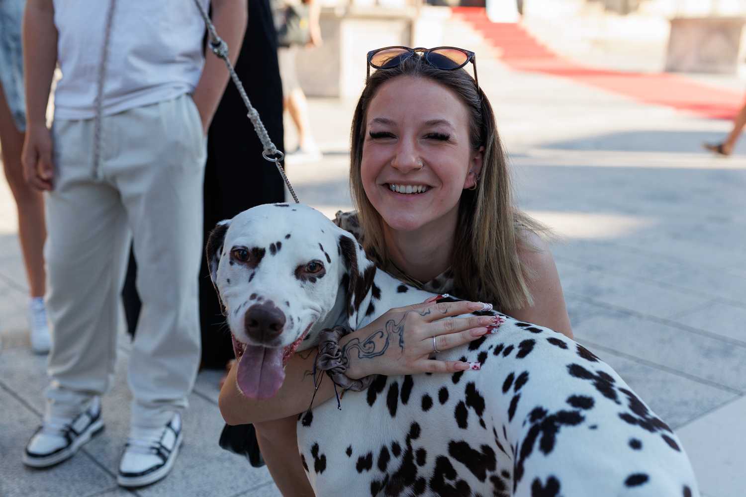 Red Carpet Dalmatian Walk @Trg pet bunara Red Carpet Dalmatian Walk @Trg pet bunara