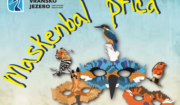 Maskenbal ptica PP Vransko jezero