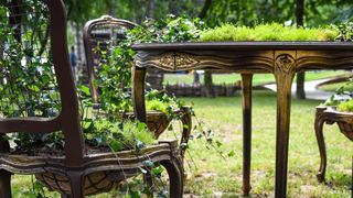 Pogledajte cvijetne fantazije na 53. Floraartu