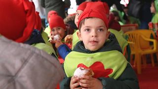 Virski Karnevalić 2017.