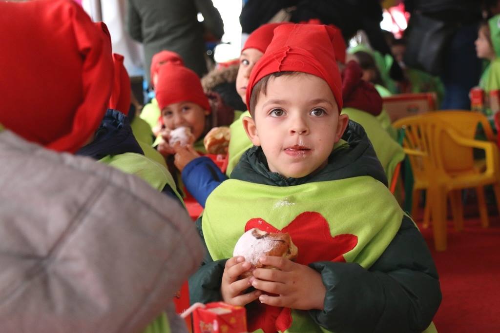 Virski Karnevalić 2017.