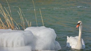 Ribarska lučica Prosika na Vranskom jezeru okovana ledom Ribarska lučica Prosika na Vranskom jezeru okovana ledom