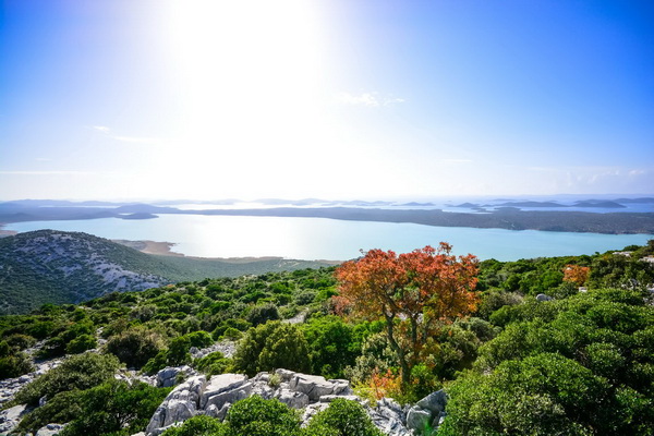 Nedjeljni đir do Parka prirode Vransko jezero i vidikovca Kamenjak, foto: Iva Perinčić Nedjeljni đir do Parka prirode Vransko jezero i vidikovca Kamenjak, foto: Iva Perinčić