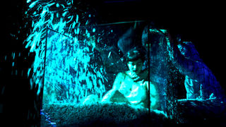 Žene – Svestranost