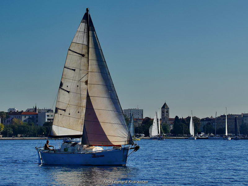 “Zadarska koka”: Regata za sve generacije snimljena iz “koke” “Zadarska koka”: Regata za sve generacije snimljena iz “koke”