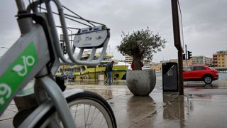 Maslina u velikoj i teškoj tegli preko noći “prošetala” do gradskog mosta Maslina u velikoj i teškoj tegli preko noći “prošetala” do gradskog mosta