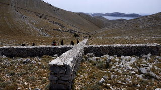 Kornat, 300811.
Obiljezavanje 4. obljetnice kornatske tragedije, u kojoj je, gaseci pozar na Kornatu 30. kolovoza 2007. godine, smrtno stradalo 12 vatrogasaca. Obitelji poginulih vatrogasaca, njihovi prijatelji te visoko izaslanstvo na otoku Kornat, u uv Kornat, 300811.
Obiljezavanje 4. obljetnice kornatske tragedije, u kojoj je, gaseci pozar na Kornatu 30. kolovoza 2007. godine, smrtno stradalo 12 vatrogasaca. Obitelji poginulih vatrogasaca, njihovi prijatelji te visoko izaslanstvo na otoku Kornat, u uv