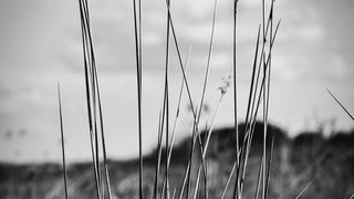 Crno bijela bajka na Kraljičinoj plaži, foto: Iva Perinčić