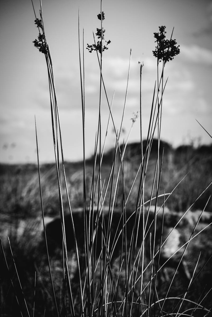 Crno bijela bajka na Kraljičinoj plaži, foto: Iva Perinčić