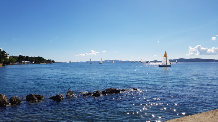 Zadarska Koka 2016. 22. listopada 2016. Foto: Mladen Malik Zadarska Koka 2016. 22. listopada 2016. Foto: Mladen Malik