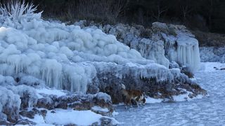 Šetnja po zaleđenom i bajkovitim Vranskim jezerom Šetnja po zaleđenom i bajkovitim Vranskim jezerom