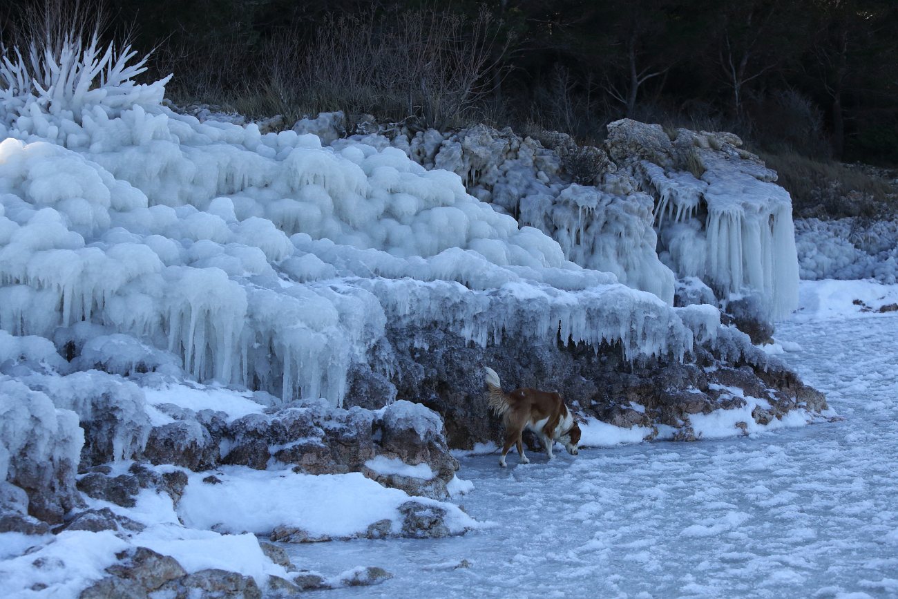 Šetnja po zaleđenom i bajkovitim Vranskim jezerom Šetnja po zaleđenom i bajkovitim Vranskim jezerom