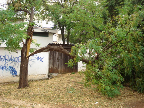 18.7.2009. Posljedice nevremena u ul. F. Tudjmana i B.J.Jelacica u Zadru 18.7.2009. Posljedice nevremena u ul. F. Tudjmana i B.J.Jelacica u Zadru