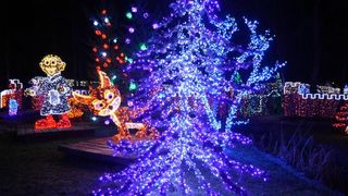 Dva milijuna lampica za božićnu čaroliju na imanju Salaj