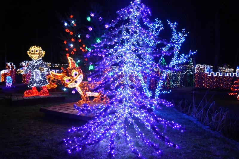 Dva milijuna lampica za božićnu čaroliju na imanju Salaj