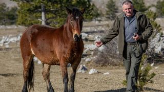 Veliko Rujno: Drago Krapić vlasnik je pedesetak konja koji obitavaju na velebitskim pašnjacima