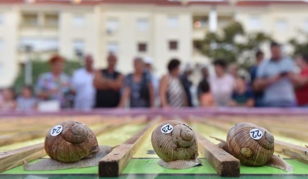 “Puževim korakom” Benkovac: 6. Prvenstvo Hrvatske u utrci puževa