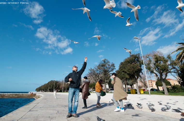 Đir po gradu, srijeda 29. siječnja 2020.