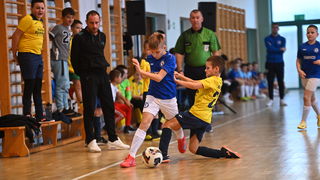Cataleya Indoor Cup Cataleya Indoor Cup