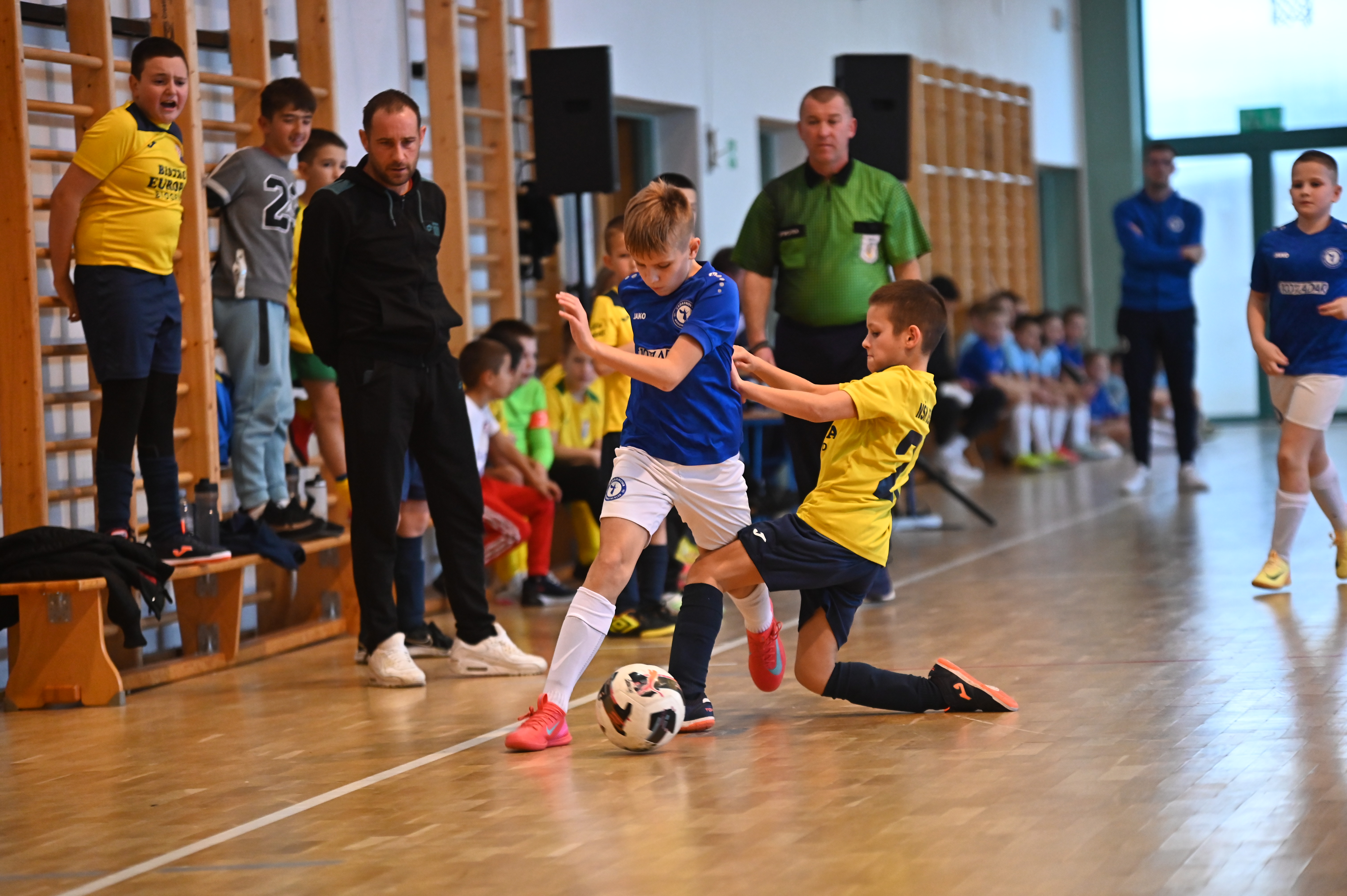 Cataleya Indoor Cup Cataleya Indoor Cup
