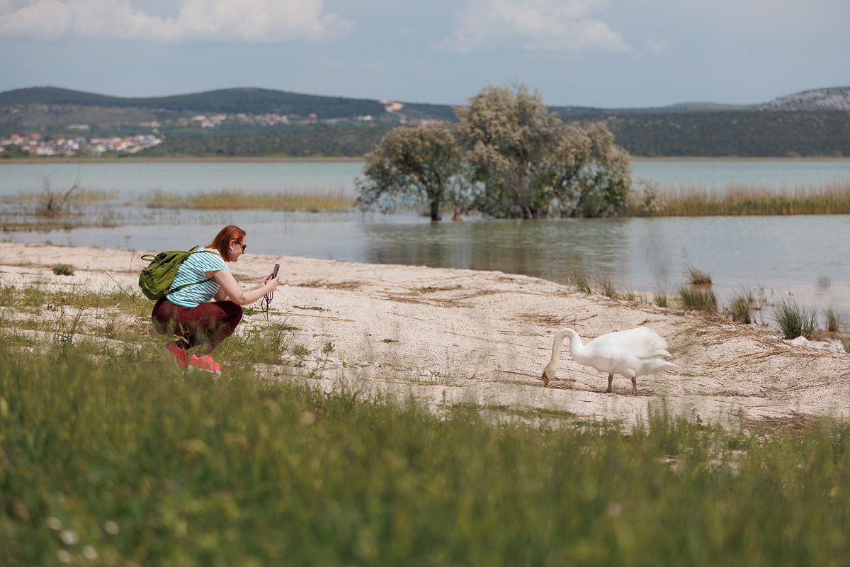 Materine užance @ kamp Crkvine, Vransko jezero Materine užance @ kamp Crkvine, Vransko jezero