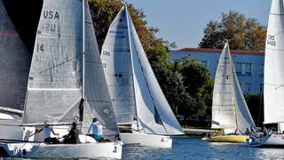 Sva lica “Zadarske koke” Sva lica “Zadarske koke”