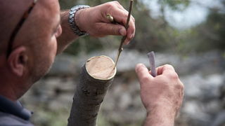 U Vrtovima lunjskih maslina održana 12. Lunjska maslinada. Foto: Vinko Pešić