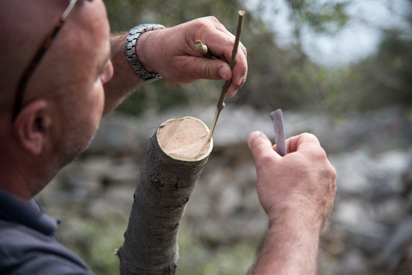 U Vrtovima lunjskih maslina održana 12. Lunjska maslinada. Foto: Vinko Pešić