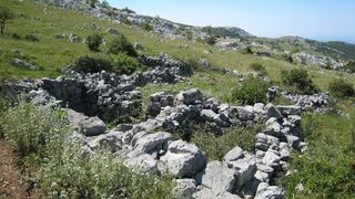 Image 1177351 (auto)