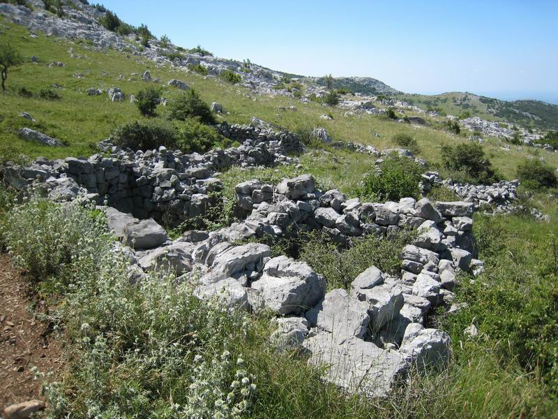 Image 1177351 (auto)