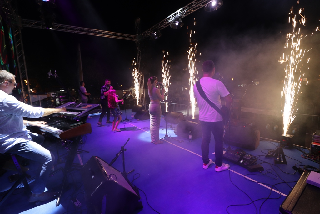 Vir fest 2024. Vir fest 2024.