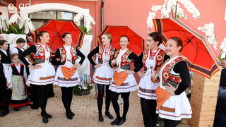 Svečano otvoren 18. Festival cvijeća Zadarske županije u Sv. Filip i Jakovu