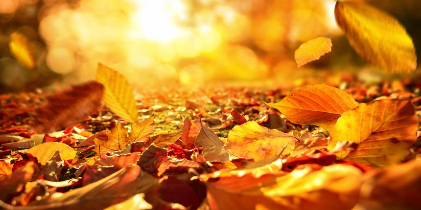 3. “Na dan jesenskog ekvinocija jaje može stajati ravno bez da ga držite i to zbog sile gravitacije”, još je jedan mit u nizu. No, to nema veze s datumom. Ako imate dovoljno strpljenja i vremena, to možete učiniti svaki dan 3. “Na dan jesenskog ekvinocija jaje može stajati ravno bez da ga držite i to zbog sile gravitacije”, još je jedan mit u nizu. No, to nema veze s datumom. Ako imate dovoljno strpljenja i vremena, to možete učiniti svaki dan