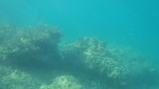 OLYMPUS DIGITAL CAMERA OLYMPUS DIGITAL CAMERA