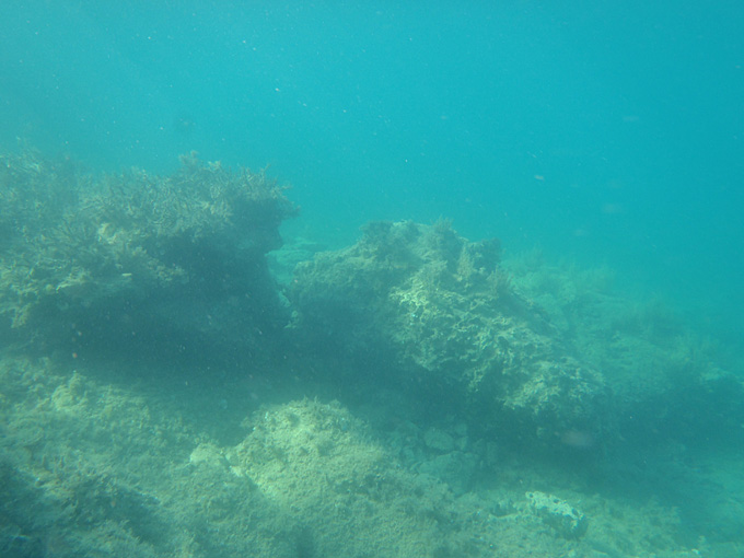 OLYMPUS DIGITAL CAMERA OLYMPUS DIGITAL CAMERA