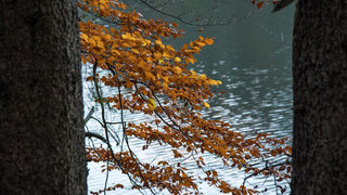 Boje jeseni na Plitvičkim jezerima